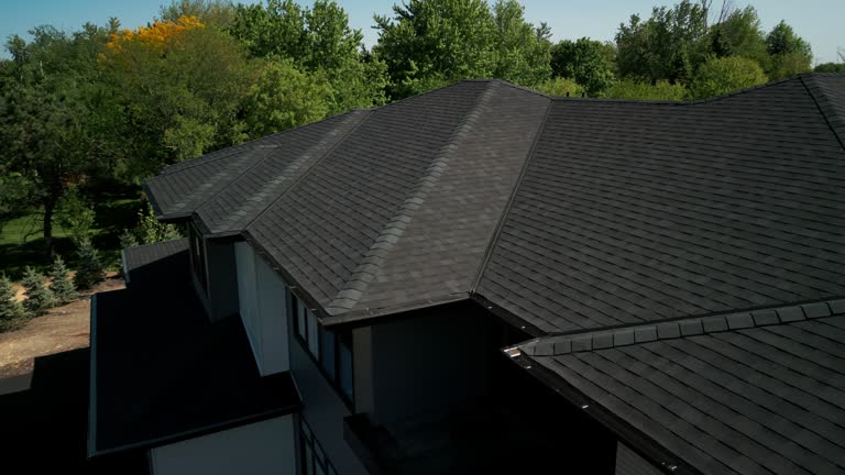 Best Roof Moss and Algae Removal  in Georgetown, SC